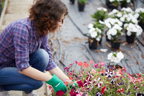 A gardener kneeling on a paved outdoor area within a backyard garden, planting or tending to a bed of vibrant flowering plants that include shades of pink, purple, and white. The garden features a neatly arranged lawn with well-maintained grass, bordered by dark plastic edging. In the background, there are several pots with white flowering plants and other garden elements, suggesting a cultivated space for horticultural activities. The gardener is wearing a checked shirt, jeans, and green gardening gloves, working in natural daylight under partly cloudy skies, which highlights the lush greenery and colorful blooms. The scene reflects community gardening or landscaping efforts typical of urban outdoor spaces near Hoxton, supporting sustainable gardening practices and environmental care, aligned with the services of Landscapers Hoxton.