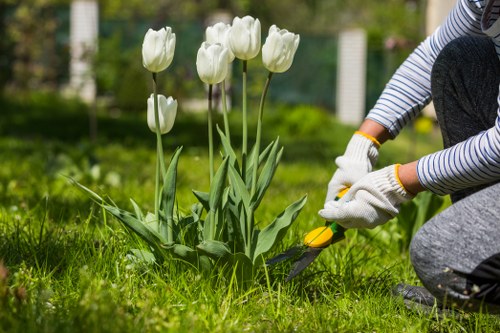 A gardener wearing striped long-sleeve clothing and white gardening gloves is tending to a small flower bed in a backyard garden, using pruning shears to trim a plant. The flower bed contains a cluster of tall, white tulips with green leaves, situated on a well-maintained grass lawn with dense, green foliage and trees in the background. The garden features a tidy layout with a mix of open grassy areas and planted borders, and appears to be outdoors on a bright, mild day, suitable for gardening maintenance. The scene reflects professional gardening and outdoor care, aligning with landscaping services offered by Landscapers Hoxton in the local area of Hoxton, London, with an emphasis on lawn and garden upkeep.