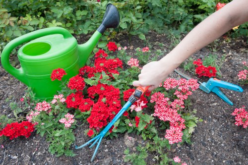 Landscaping pricing and quote information for Hoxton garden clearance