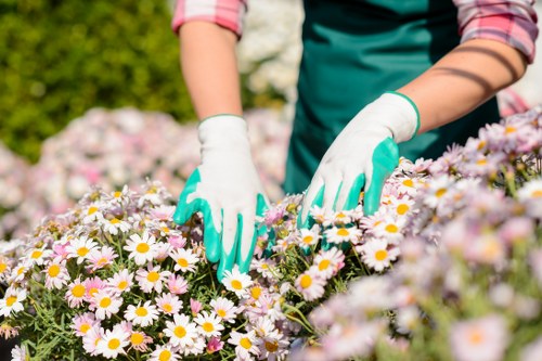 Experienced team working on a garden project