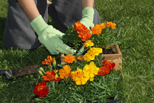 Various types of lawn mowers for Hoxton lawns