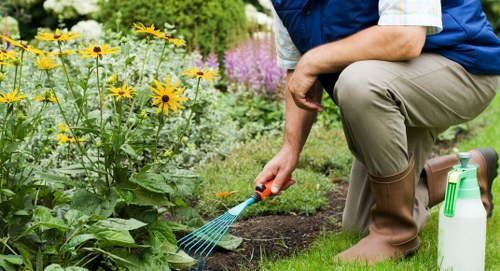 Eco-friendly lawn care practices in Hoxton