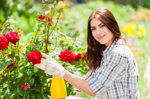 A young woman with long brown hair, dressed in a light plaid shirt, is seen tending to a vibrant garden in Hoxton, demonstrating gardening care. She is using a yellow spray bottle to water or treat a large, bright red rose bush with lush green foliage, set in a well-maintained outdoor garden area. The garden features a variety of plants, with some pink and yellow flowers visible in the background, and is positioned in a residential setting consistent with urban landscaping in Hackney. Behind her, there are other shrubs and trees with dense greenery, and the scene is illuminated by natural daylight with a slightly overcast sky, creating soft, even lighting. The ground appears to be soil or mulch, and the garden layout includes neatly arranged flower beds and shrub borders, suggesting professional gardening attention by Landscapers Hoxton. This image highlights garden maintenance activities suitable for promoting residential landscaping services in the Hoxton area, with a focus on healthy plants, blooming flowers, and outdoor care in a suburban setting.