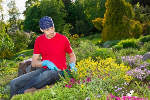Seasonal lawn maintenance in Hoxton
