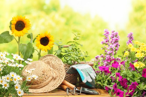 A vibrant garden scene featuring a variety of flowering plants and garden tools arranged on a wooden surface. In the foreground, there are bright yellow sunflowers with large, dark centres, alongside clusters of white daisies and purple and pink flowering plants. The background displays lush green foliage and blurred greenery, suggesting a well-maintained outdoor space in a garden or backyard. Also visible are gardening accessories, including a woven straw hat, gardening gloves, pruning shears, and a small hand rake, indicating active gardening work. The scene is bathed in natural sunlight, creating a warm and inviting atmosphere typical of outdoor gardening environments within the Hoxton area, emphasizing the context of professional lawn and garden care services by Landscapers Hoxton.