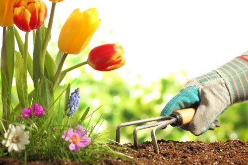 Eco-friendly garden design with native plants and rainwater harvesting in Hoxton