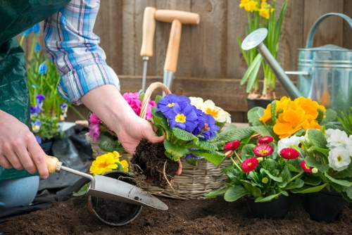 A person wearing a plaid shirt is planting a vibrant purple and yellow flowering primula into dark, rich soil in a garden bed. Surrounding the planting area are other colourful flowers, including red, yellow, and white blossoms, in black plastic containers ready for transplantation. In the background, a wooden garden fence separates the outdoor space, and gardening tools such as a small trowel and watering can are visible, indicating active gardening work. The scene is well-lit with natural daylight, suggesting a clear day, and features a tidy garden environment with well-maintained flower beds and healthy plant growth, typical of a residential garden in Hoxton. The arrangement emphasizes the garden's diverse planting scheme, with soil prepared for new plants, supporting professional gardening and landscaping services offered by Landscapers Hoxton.