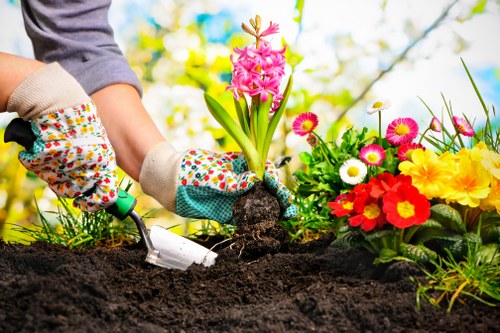 A person wearing floral-patterned gardening gloves is planting a pink hyacinth bulb into dark, freshly turned soil in a landscaped garden. To the right, there is a colourful display of flowering plants, including red, yellow, and white blooms, with some daisy-like flowers visible. The garden features a well-maintained flower bed bordered by soil and lush greenery, with a background of blurred trees and a clear blue sky, suggesting a bright, sunny day. The image highlights outdoor gardening activities typical of a residential garden in Hoxton, with a focus on planting and garden care within an outdoor landscaped environment. This scene exemplifies general gardening practices in a tidy, vibrant garden space, supporting the services of Landscapers Hoxton in maintaining attractive garden landscapes in the local area.