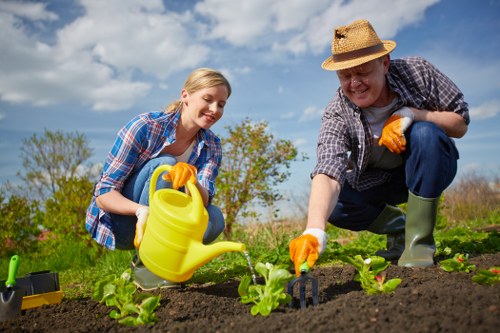 A young woman and an older man are working together in a well-maintained outdoor garden space near Hoxton, engaging in gardening activities. They are both wearing casual, weather-appropriate clothing with orange gardening gloves; the woman is in a plaid shirt and the man in a straw hat and long-sleeved shirt. The woman is kneeling and smiling as she holds a yellow watering can, watering a row of small green leafy plants planted in rich, dark soil. The man is also kneeling, leaning forward slightly with a cheerful expression, tending to the plants with his hands. In the background, there are a few mature trees with green foliage and a bright, partly cloudy sky, indicating a pleasant weather day. The garden layout features neatly aligned plant beds with defined edges, surrounded by a grassy area and some garden tools visible in the scene. The natural tones of the soil, lush green plants, and blue sky create a vibrant, healthy outdoor environment consistent with gardening services in the Hoxton area, emphasizing outdoor maintenance and garden cultivation activities by Landscapers Hoxton.