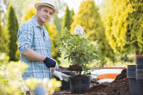 A man dressed in a light blue checked shirt, wearing a straw hat and gardening gloves, is in a garden during daytime, tending to a potted flowering shrub with white blossoms. In the background, there are neatly trimmed hedges and tall, leafy trees with vibrant green foliage, suggesting a well-maintained outdoor space typical of a residential garden in Hoxton or nearby. The soil around the plant appears freshly disturbed, indicating recent planting activity. To the right, there are empty black plant pots stacked on a garden table, with a pile of rich, dark soil nearby where the man is working. The garden surface includes a combination of grass, paving, and soil beds, creating a layered outdoor environment. Bright sunlight illuminates the scene, emphasizing the natural tones of the greenery, soil, and the man's clothing, reflecting a pleasant, clear day suitable for outdoor gardening activities. This setting highlights garden maintenance and planting services offered by Landscapers Hoxton, focusing on flower bed planting and garden care. The overall composition captures a professional gardening scene in a tidy, landscaped back garden area in the UK.