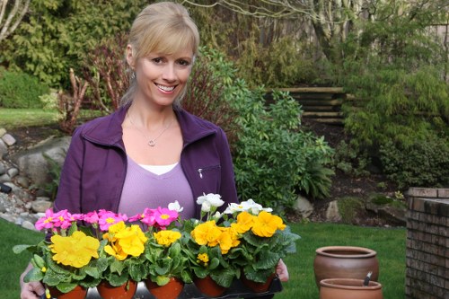 A woman with blonde hair wearing a purple jacket and a white top is standing in a well-maintained garden, holding a black tray filled with vibrant yellow, pink, and white flowering plants in small terracotta pots. The garden features a neatly trimmed lawn in the foreground, with lush green bushes, shrubs, and a mature tree visible in the background, along with a brick pathway and steps leading up to an elevated area. The scene appears to be on a bright, slightly overcast day, with soft natural lighting. The environment suggests a private outdoor space used for gardening and landscape maintenance, typical of residential gardens in Hoxton, with the grass and plant borders well-kept, and the scene indicative of gardening services focused on plant care and outdoor aesthetics, as provided by landscapers like Landscapers Hoxton. The presence of potted plants and garden elements demonstrates active gardening and outdoor beautification efforts.