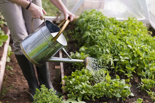 In the image, a gardener's hands are visible holding a metal watering can with a wooden handle, watering a small vegetable patch inside a greenhouse or polytunnel. The gardening environment is characterised by lush, healthy green leafy vegetables, possibly lettuce or similar salad greens, growing in rich, dark soil. To the right, there are taller plants with bushy foliage, which could be herbs or other vegetables, arranged in neatly defined rows. The background shows a transparent covering, typical of greenhouse or polytunnel structures, allowing natural sunlight to illuminate the plants. The scene captures a moment of outdoor planting or maintenance, highlighting a focus on sustainable gardening and efficient outdoor plant care, relevant to services offered by companies like Landscapers Hoxton, who specialise in garden and landscape management in the local area. The soil appears moist and well-maintained, suggesting attentive watering and care. Overall, the image presents a tidy, productive gardening space with an emphasis on healthy plant growth and quality outdoor landscape maintenance.