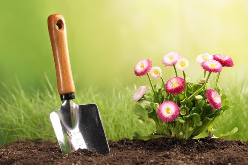 Hoxton landscapers planning a new garden layout