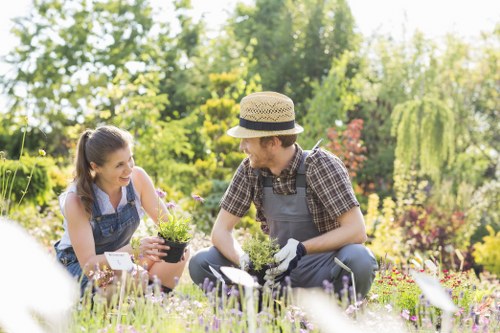 Professional garden maintenance services in Hoxton
